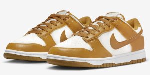 Nike Dunk Low Next Nature DN1431-001 发布日期